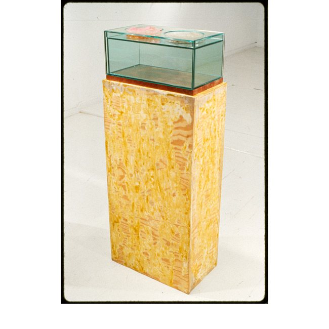 Liz Larner. <em>Orchid, Buttermilk, Penny</em>, 1987/2013. Wooden pedestal, stone plinth, petri dish with orchid, buttermilk, penny, and glass; 43-3/8 x 17-1/2 x 10-1/8 inches. Private collection. Image courtesy Regen Projects, Los Angeles. Copyright Liz Larner. Liz Larner, Orchid, Buttermilk, Penny